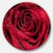 Designart - Red Rose Petals with Rain Droplets' Ultra Glossy Floral Metal Circle Wall Art